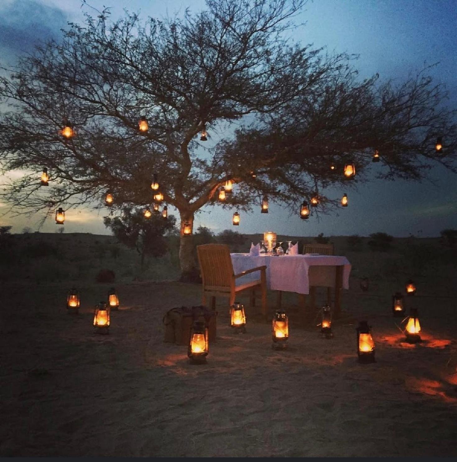 Wild Heritage Resort & Camp Jaisalmer Extérieur photo